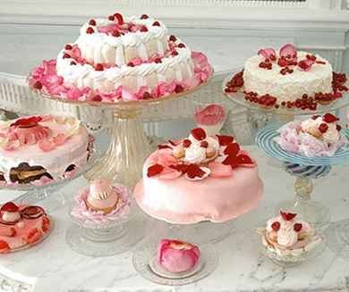 theme marie-antoinette