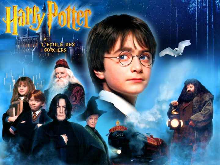 theme harry potter