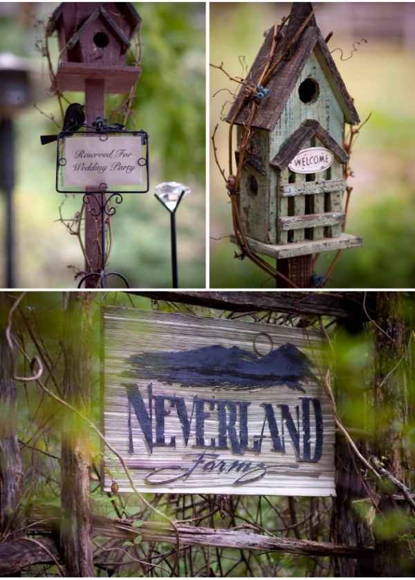 theme peter pan