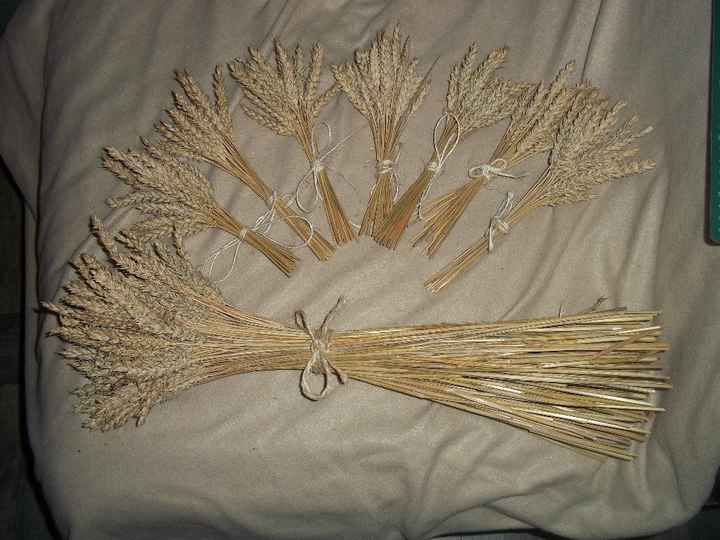 7 petits bouquets de blé et un gros (qui tient debout)