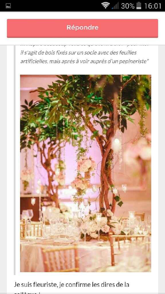 Mon portrait chinois de mariage - La décoration - 1