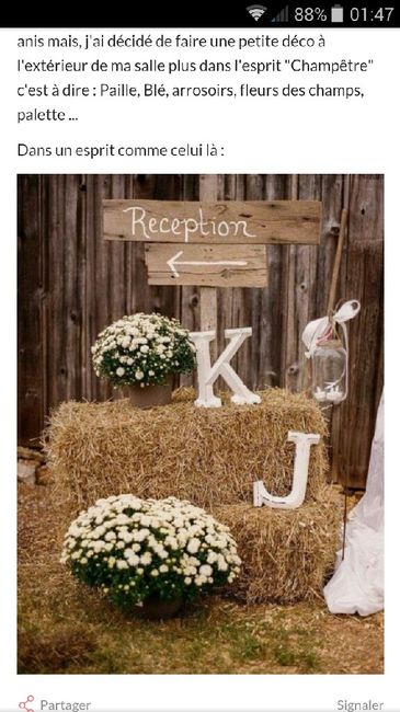 Mon portrait chinois de mariage - La décoration - 3