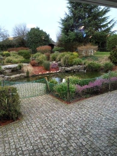 Bassin d'agrément
