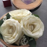 Coussin ou boite à alliances ? - 1