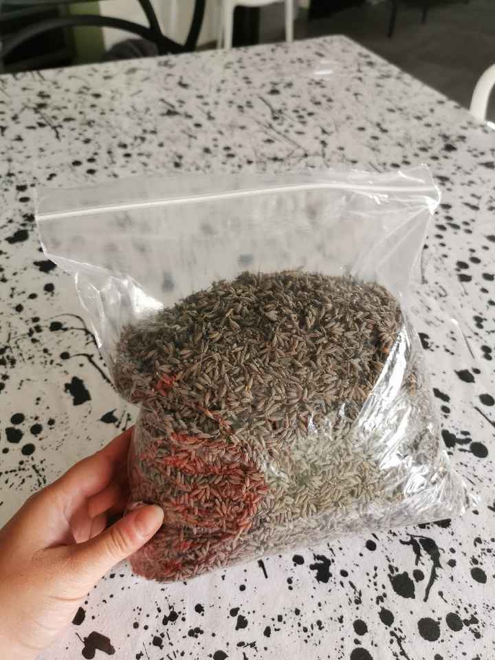 [Diy] confettis végétaux - 2