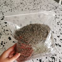 Des confettis végétaux et écolo ! Voici nos astuces ! 🎊 - 1