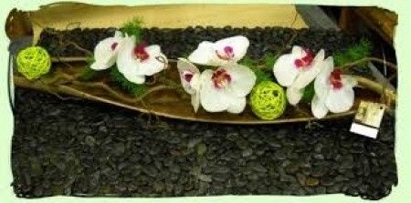 feuille de coco   orchidée