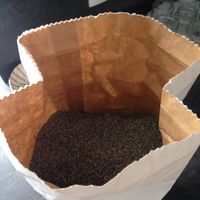 Lancé de lavandes - 2