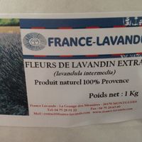 Lancé de lavandes - 3