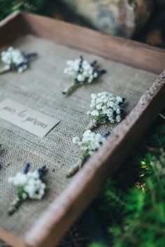 Boutonnières 