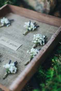Boutonnières 