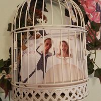  l amour en cage - 1