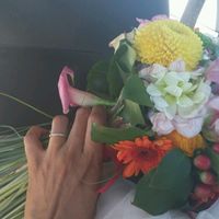 Nous voila mariés !! - 2