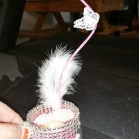 Mes premiers pas... - 2