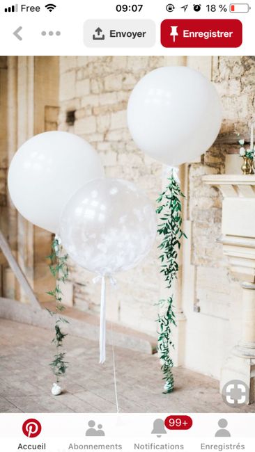 Avis mariée expérience Ballon 5