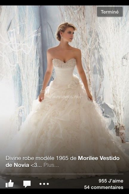 Cherche magasin ou je peux trouver les robes des collections mori lee hellllp - 1