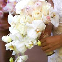 un petit coup de coeur