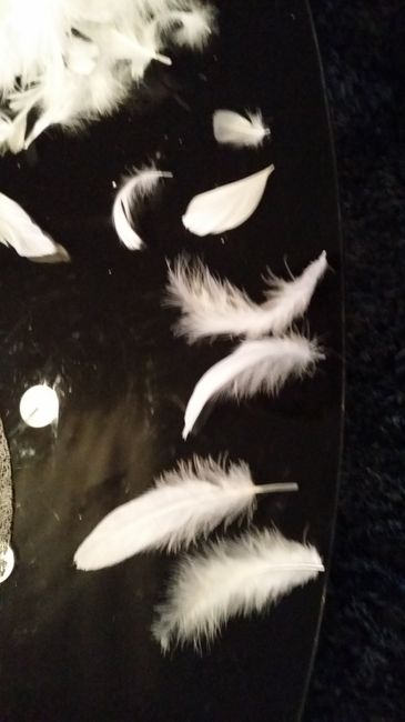 Achat du week-end - 4