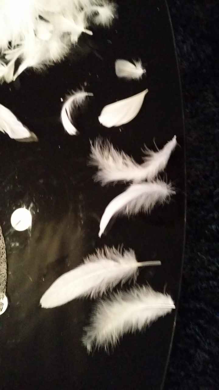 Achat du week-end - 4