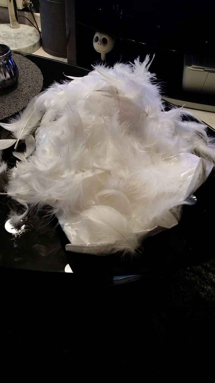 Achat du week-end - 5