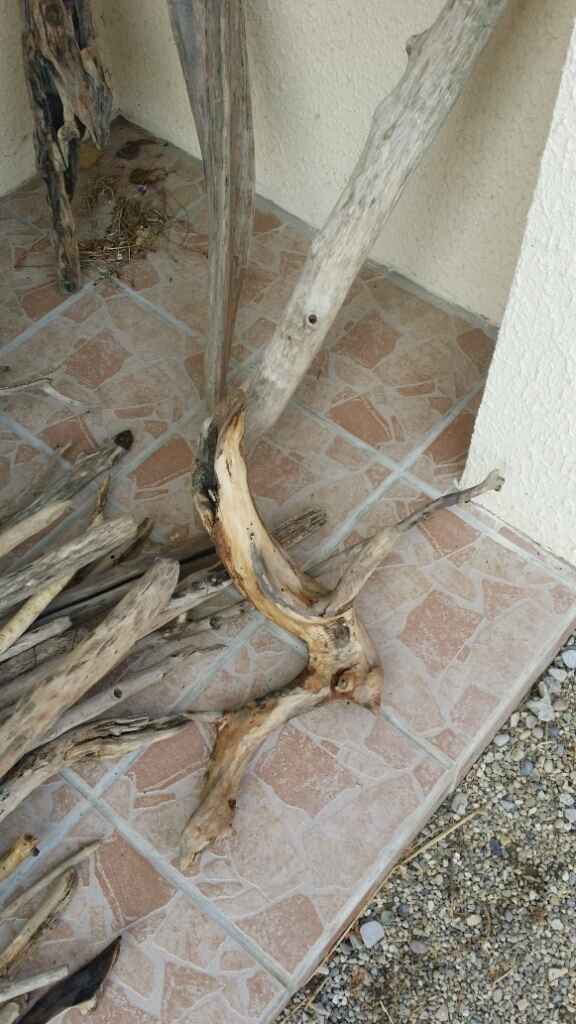 Préparation de la décoration - 7