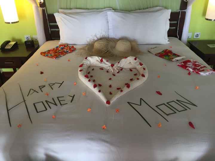 Quelques renseignements sur les seychelles!!! - 9