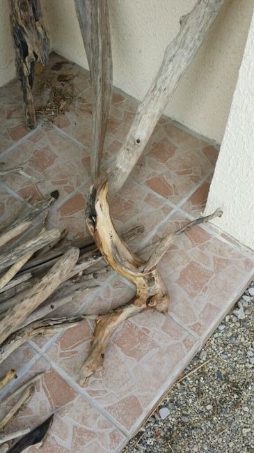 Préparation de la décoration - 7