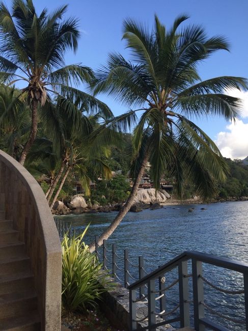 Quelques renseignements sur les seychelles!!! - 2