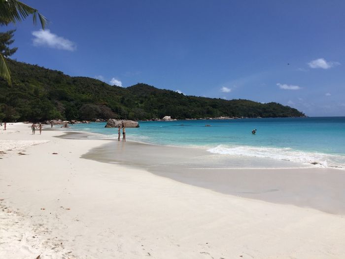 Quelques renseignements sur les seychelles!!! - 13