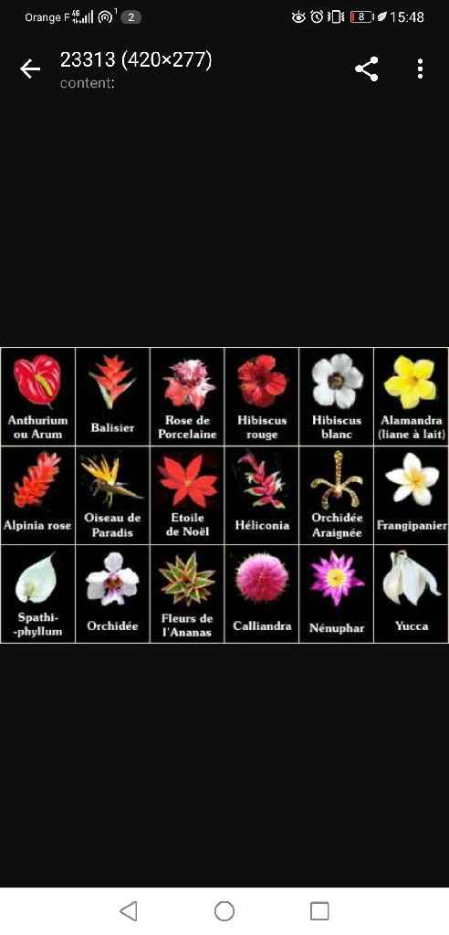 Nom de table : Help !!! - 1