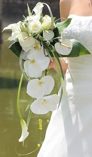 Des bouquets pour tous les goûts - 6