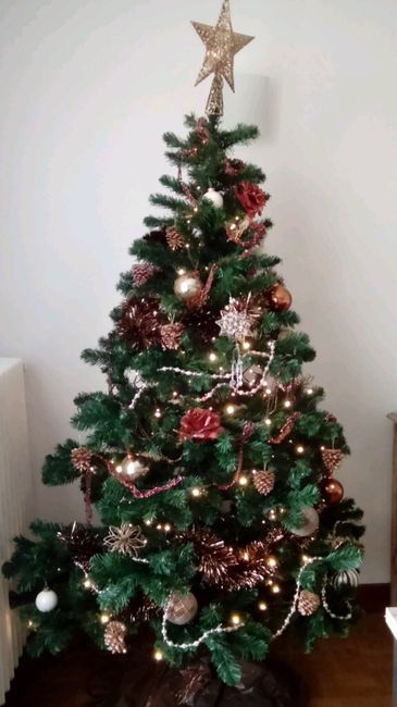 A vos sapins !!! - 1
