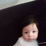 Alibert