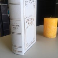 Livre porte alliance - 2