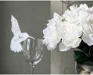 colibri