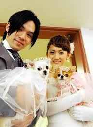 chiens