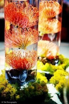 fleur qui sera dans le vase