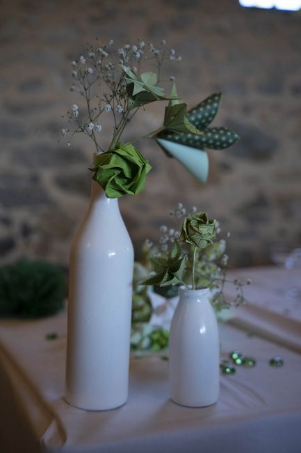 Tenue du gypsophile sans eau ? 🌼 4