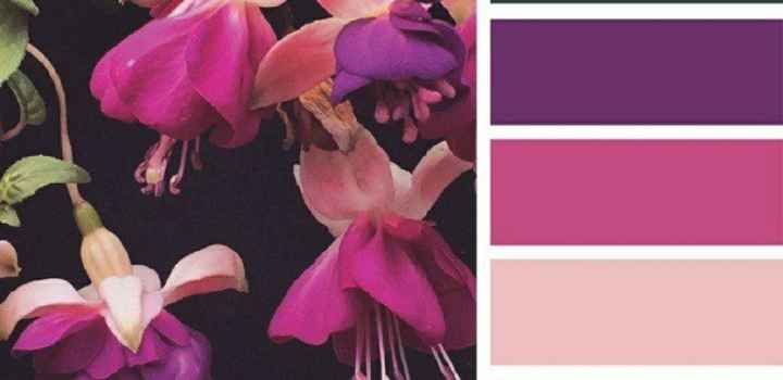 Pink addict - 4
