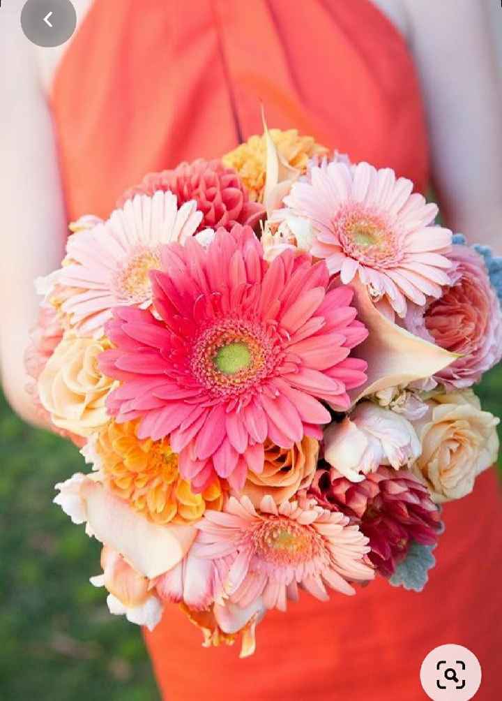Rose vs Corail - 1