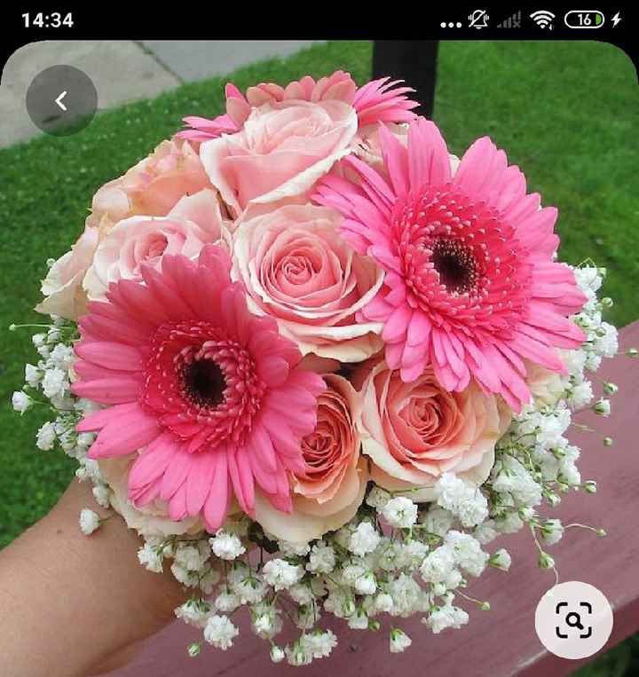 Rose vs Corail - 2