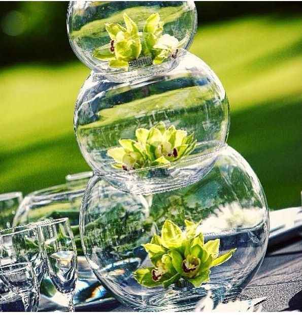 Inspi la princesse et la grenouille - 4