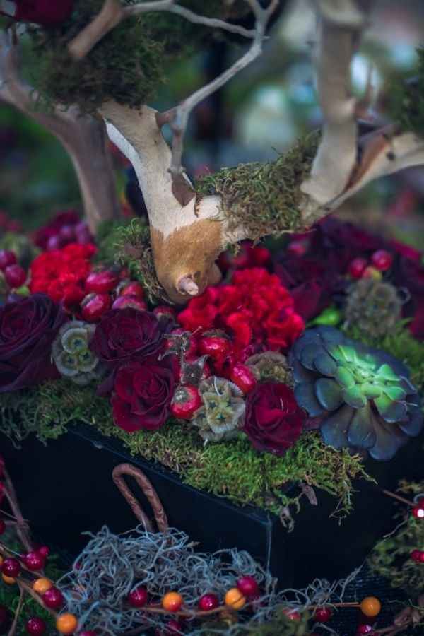 Inspi le petit chaperon rouge - 11