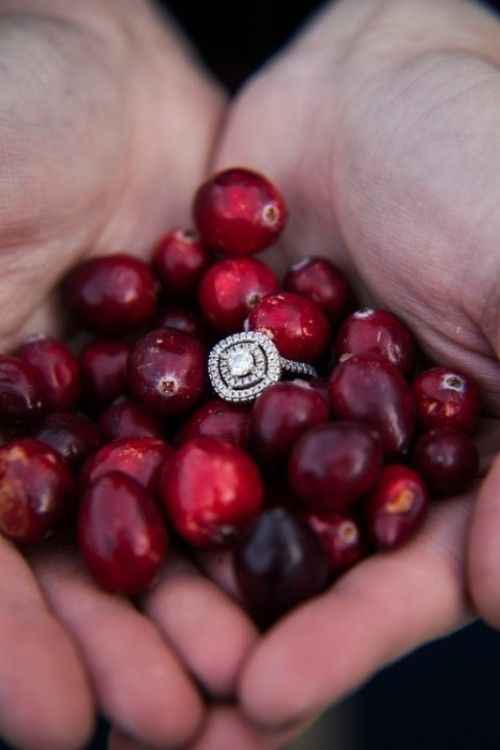 Inspi le petit chaperon rouge - 14