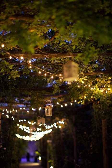 Inspi  la forêt enchantée - 9