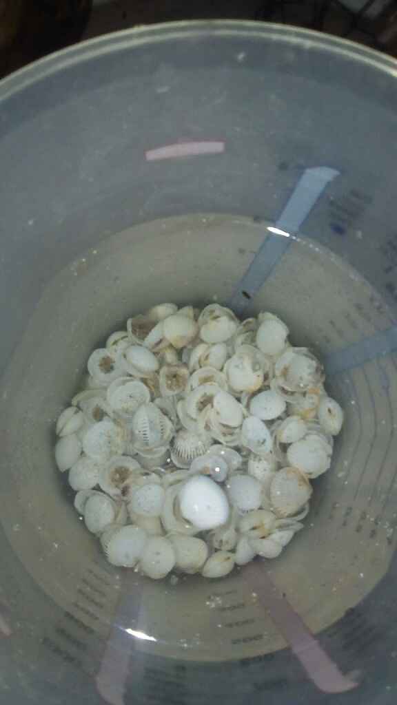 Contenant rituel du sable trouver et compagnie.... - 3