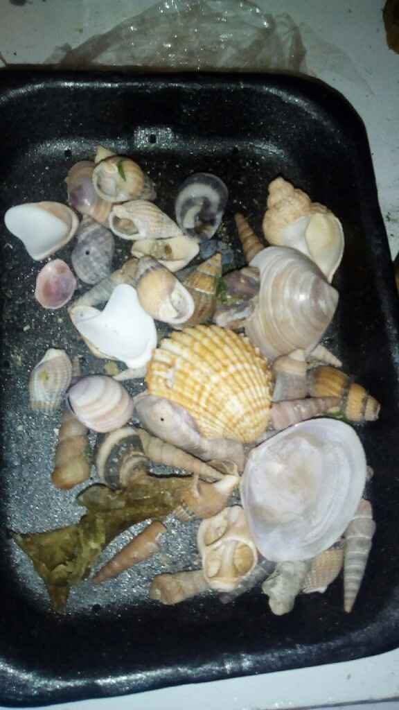 Contenant rituel du sable trouver et compagnie.... - 4