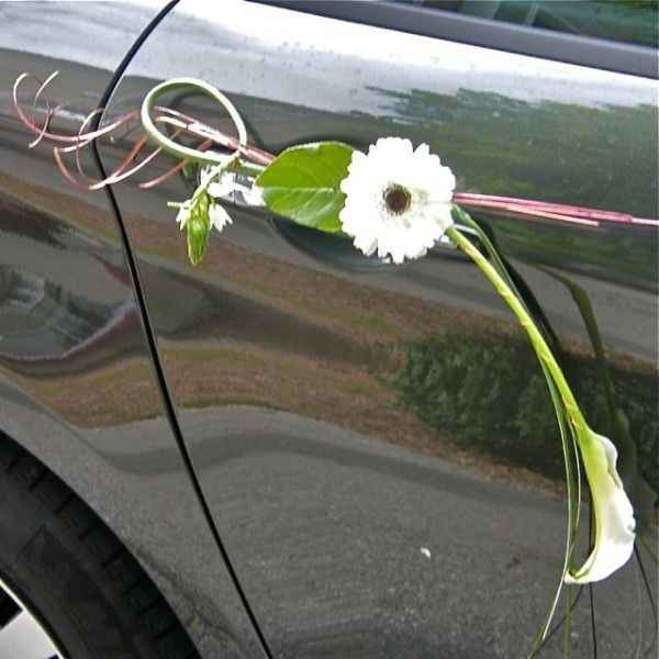  Noeuds voiture - 5