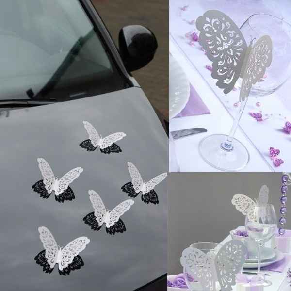  Noeuds voiture - 6