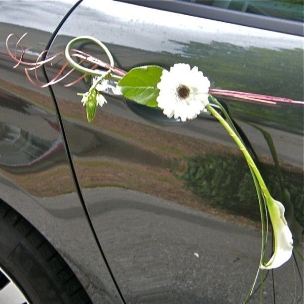  Noeuds voiture - 5